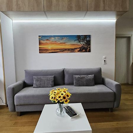 Appartamento Porodicno-Poslovni Udoban Stan Belgrado Esterno foto
