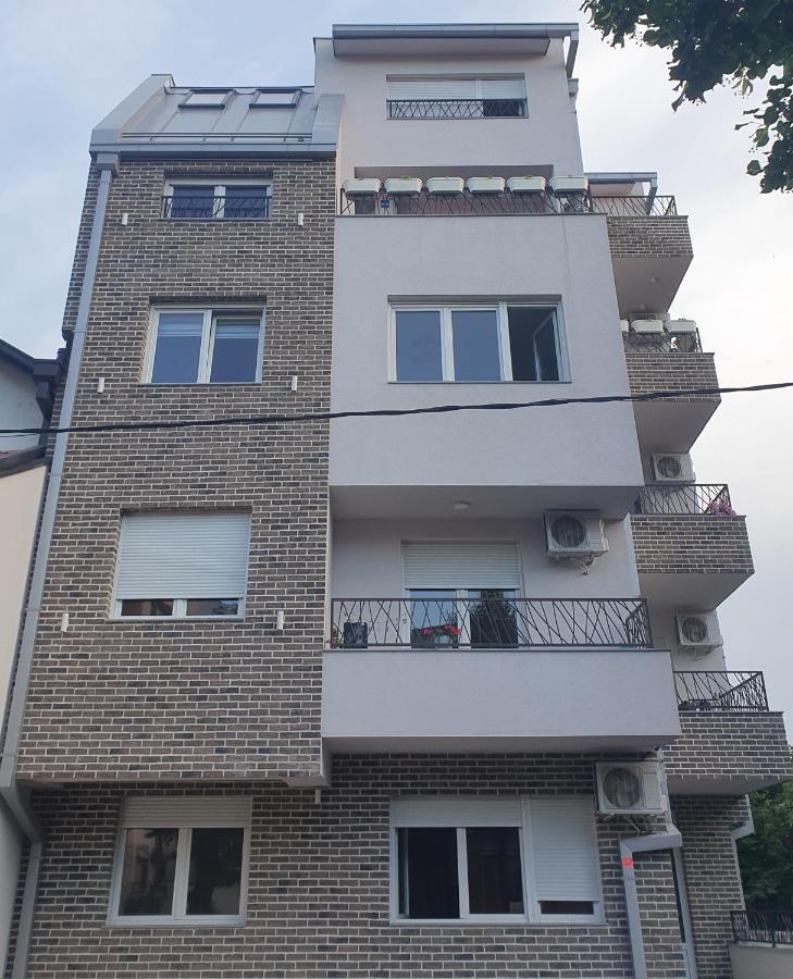 Appartamento Porodicno-Poslovni Udoban Stan Belgrado Esterno foto