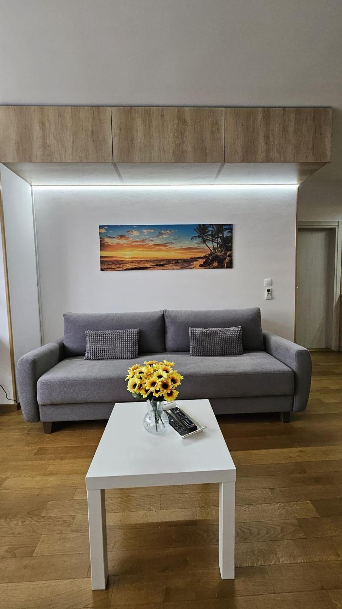 Appartamento Porodicno-Poslovni Udoban Stan Belgrado Esterno foto