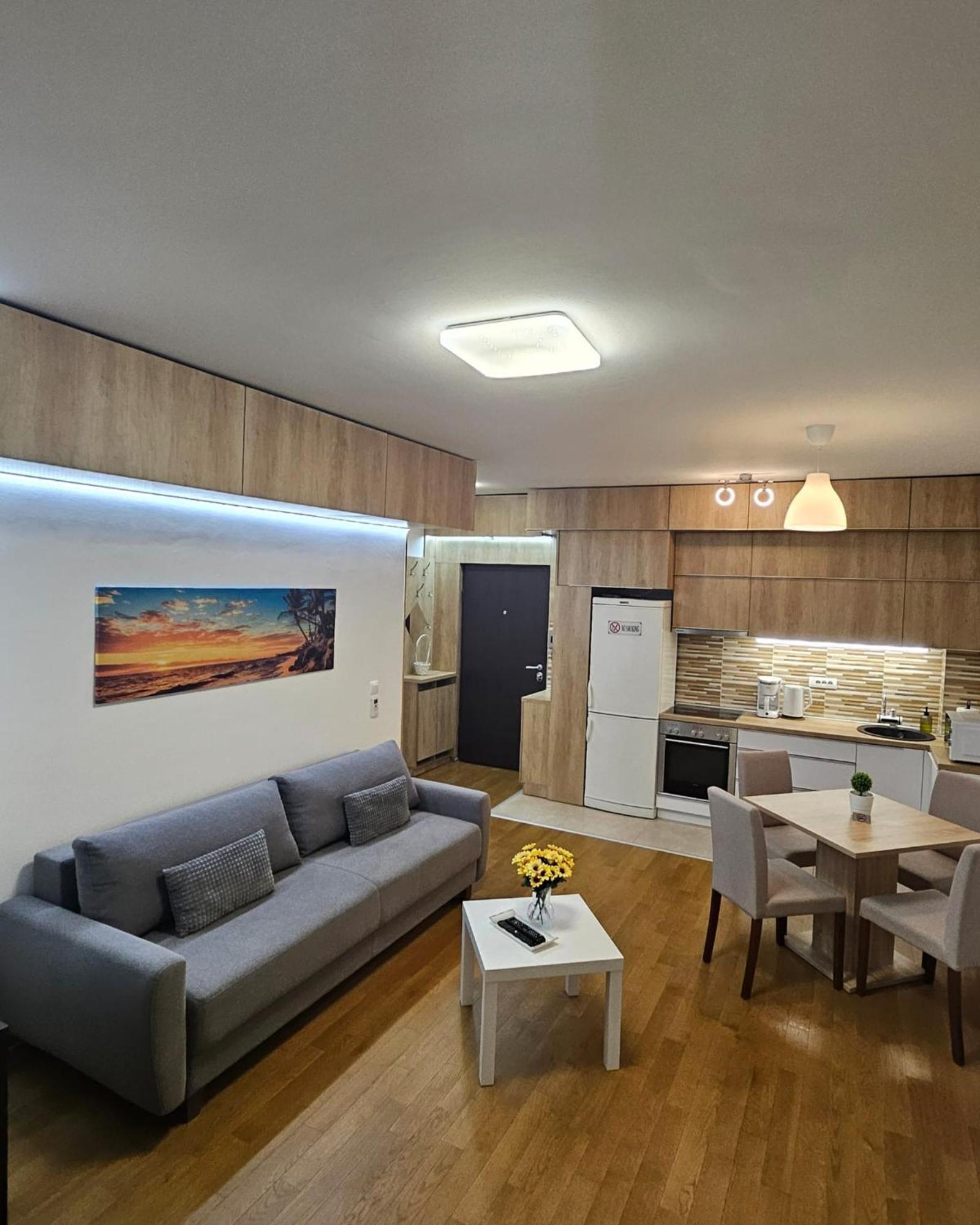 Appartamento Porodicno-Poslovni Udoban Stan Belgrado Esterno foto